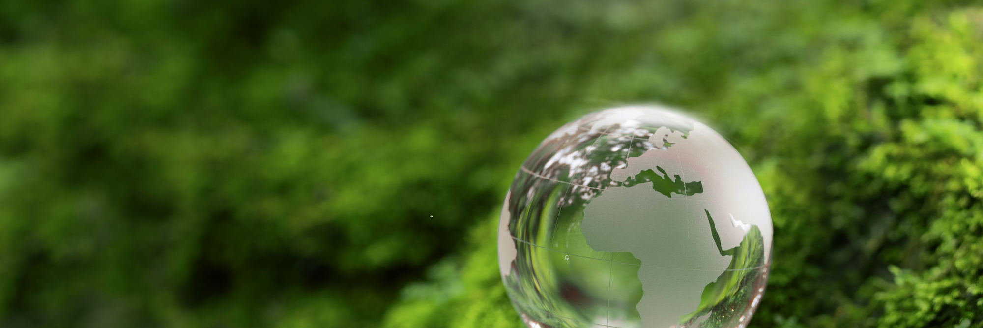 Image : Les enjeux des quêtes spirituelles écologiques contemporaines pour les spiritualités chrétiennes